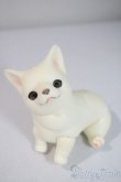 画像3: dearｍine/golgi basic A-25-06-04-1091-TN-ZU (3)