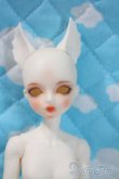 画像1: elfinstore/1/7ココアS A-25-06-04-1094-TN-ZU (1)