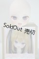 画像: DD/DDH-01カスタムヘッド(AK*DOLL様製) A-25-06-04-1088-TN-ZA