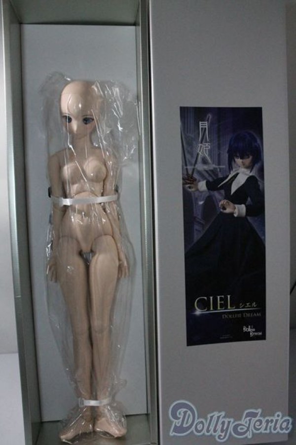 画像2: DD/シエル　月姫 -A piece of blue glass moon- I-25-06-11-1041-TN-I (2)