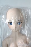 画像3: DD/シエル　月姫 -A piece of blue glass moon- I-25-06-11-1041-TN-I (3)