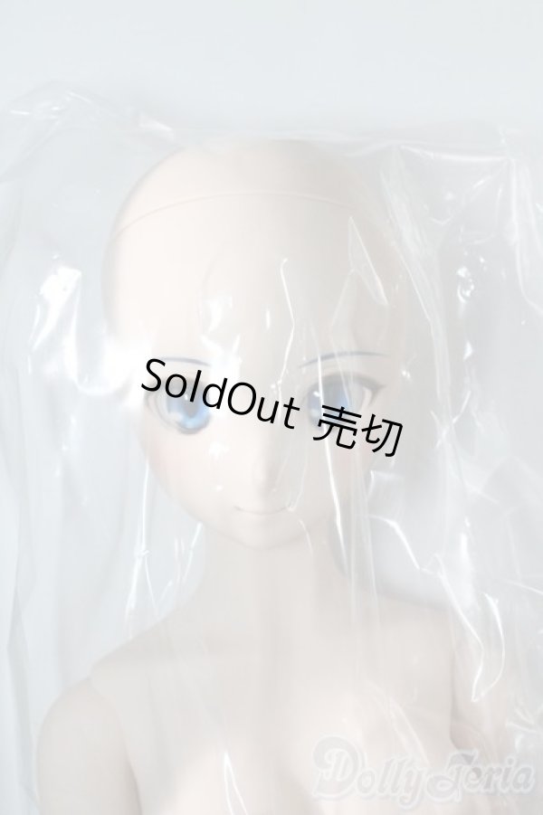 画像3: DD/シエル　月姫 -A piece of blue glass moon- I-25-06-11-1041-TN-ZI (3)