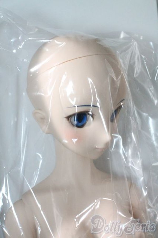 画像4: DD/シエル 月姫 -A piece of blue glass moon- I-25-06-11-1041-TN-ZI (4)