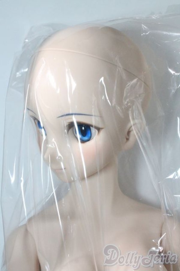 画像5: DD/シエル 月姫 -A piece of blue glass moon- I-25-06-11-1041-TN-ZI (5)