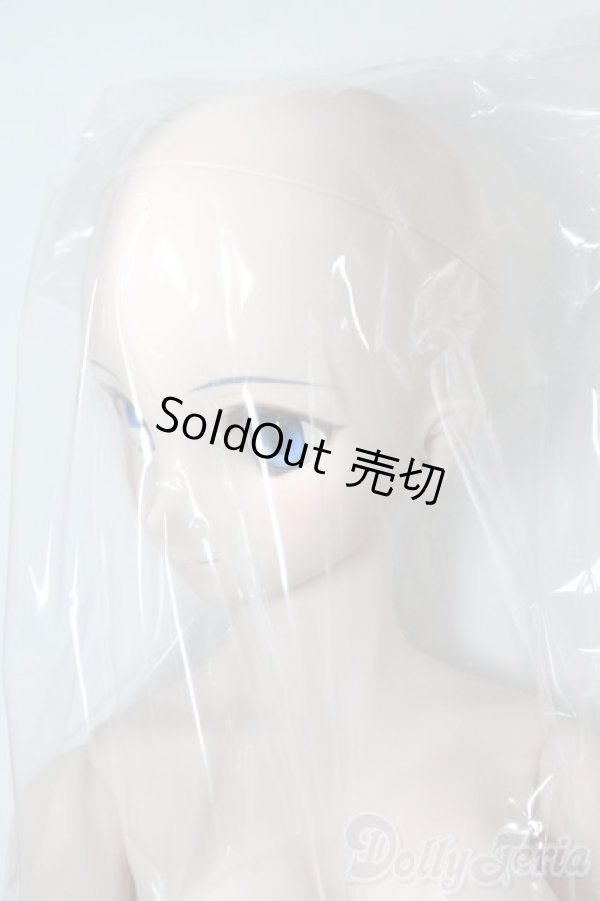 画像5: DD/シエル　月姫 -A piece of blue glass moon- I-25-06-11-1041-TN-ZI (5)