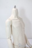 画像5: BJD CROBI/B-Line Boy Body A-25-06-11-1050-TN-ZU (5)