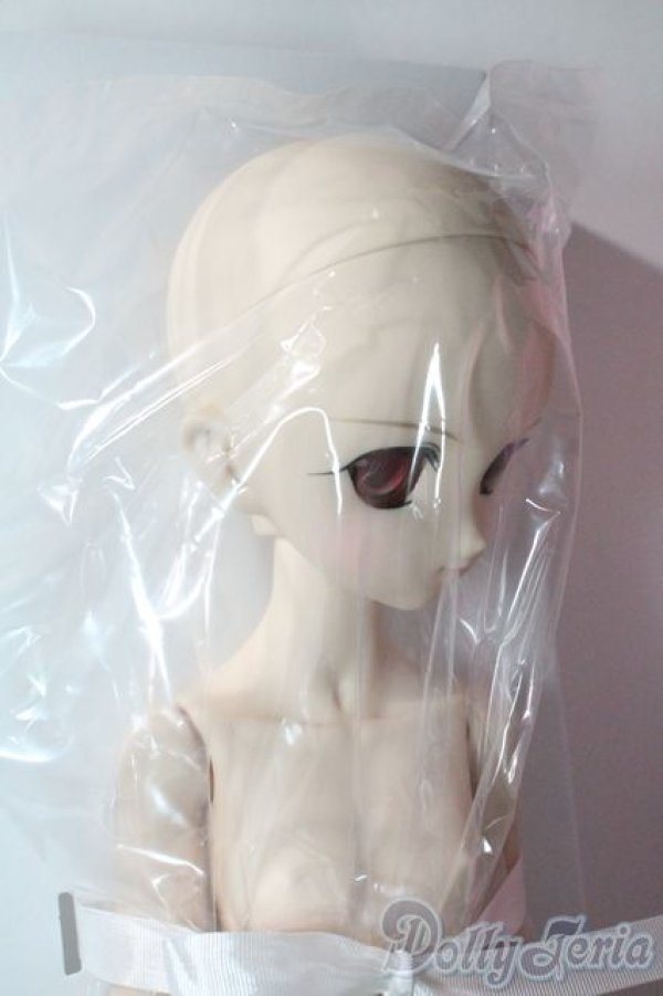 画像3: MDD/イリヤ A-25-06-11-1037-TN-ZA (3)