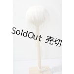 画像: 9-10inch/ウィッグ U-25-06-24-013-TN-ZU