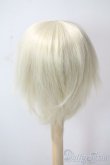 画像2: 9-10inch/ウィッグ U-25-06-24-016-TN-ZU (2)