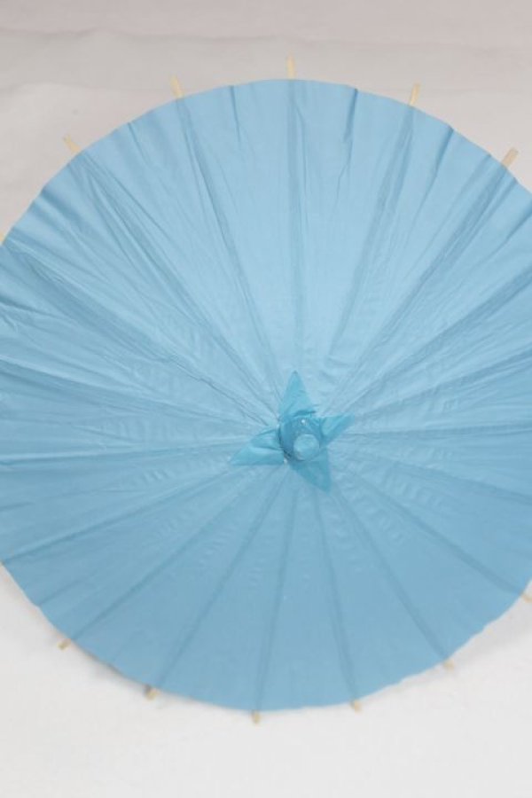 画像1: SD＆DD/和傘 U-25-06-24-221-TN-ZU (1)