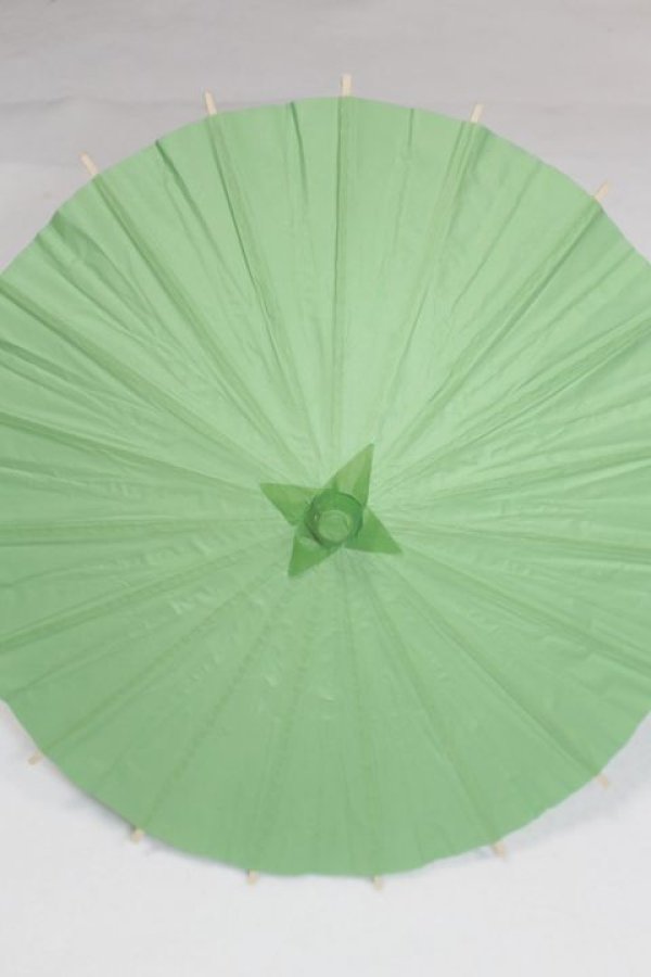 画像1: SD＆DD/和傘 U-25-06-24-222-TN-ZU (1)