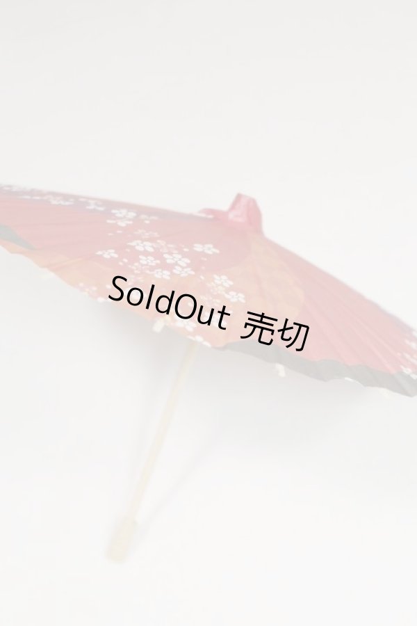 画像2: SD＆DD/和傘 U-25-06-24-223-TN-ZU (2)