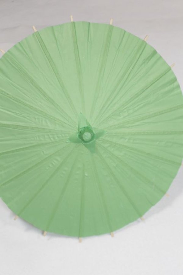 画像1: SD＆DD/和傘 U-25-06-24-230-TN-ZU (1)