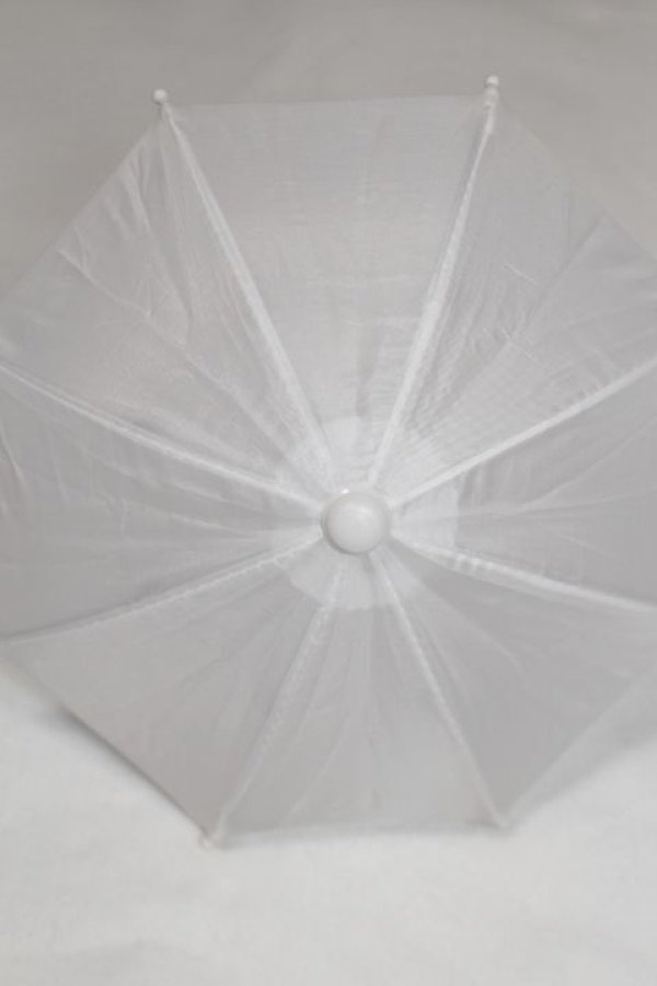 画像1: SD/OF：ビニール傘 U-25-06-24-256-TN-ZU (1)