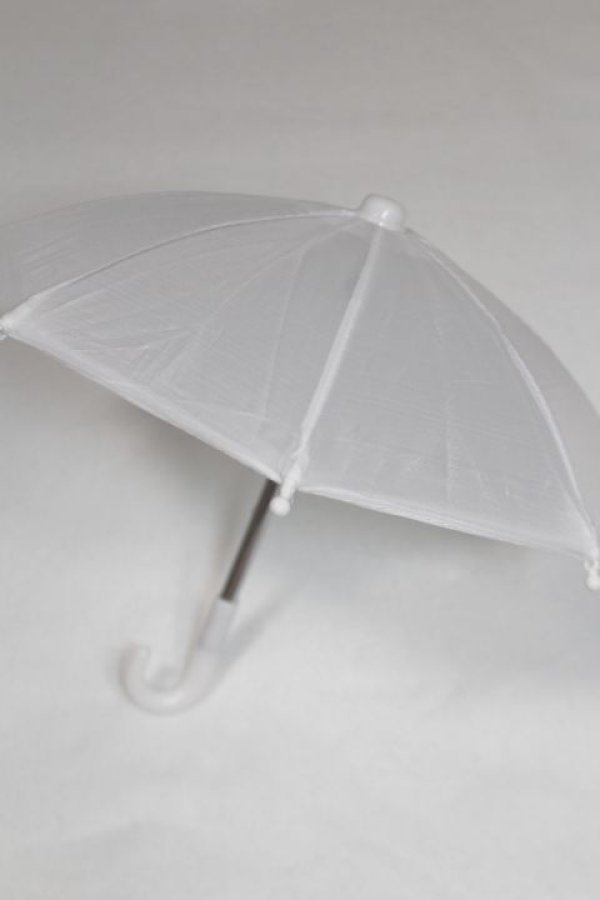 画像2: SD/OF：ビニール傘 U-25-06-24-256-TN-ZU (2)