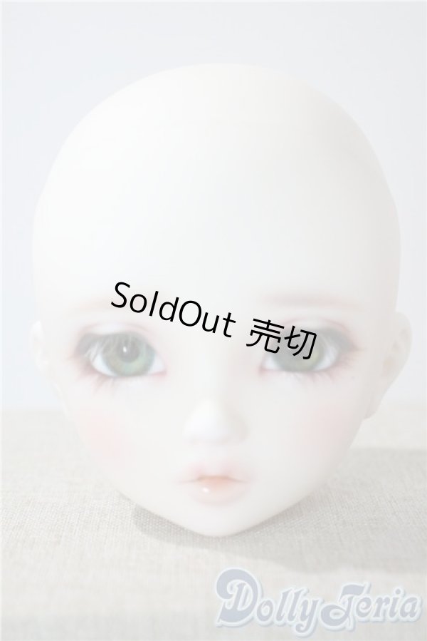 画像1: SD/フルチョイスF-106：オーダーメイク　PSホワイト U-25-06-17-213-KD-ZU (1)