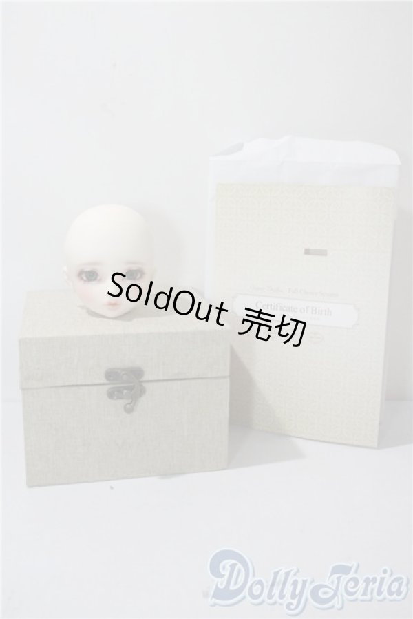 画像5: SD/フルチョイスF-106：オーダーメイク　PSホワイト U-25-06-17-213-KD-ZU (5)