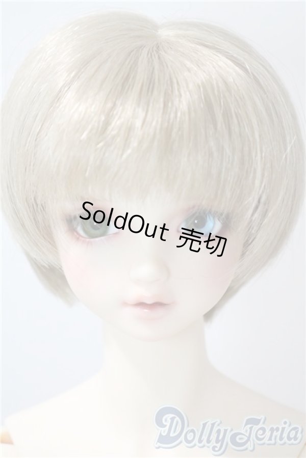 画像1: SDGrB/フルチョイスF-59：オーダーメイク U-25-06-17-215-KD-ZU (1)