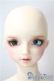 画像2: SDGrB/フルチョイスF-59：オーダーメイク U-25-06-17-215-KD-ZU (2)