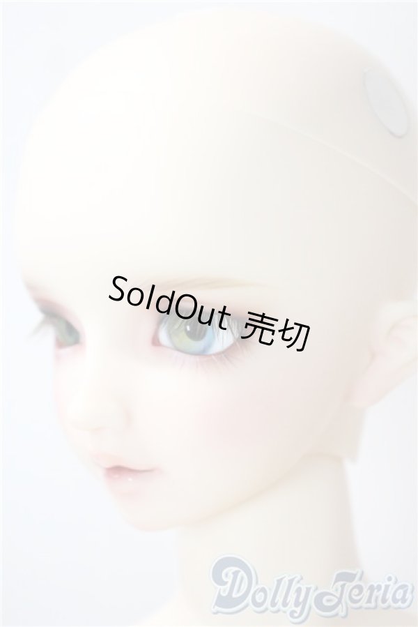 画像4: SDGrB/フルチョイスF-59：オーダーメイク U-25-06-17-215-KD-ZU (4)