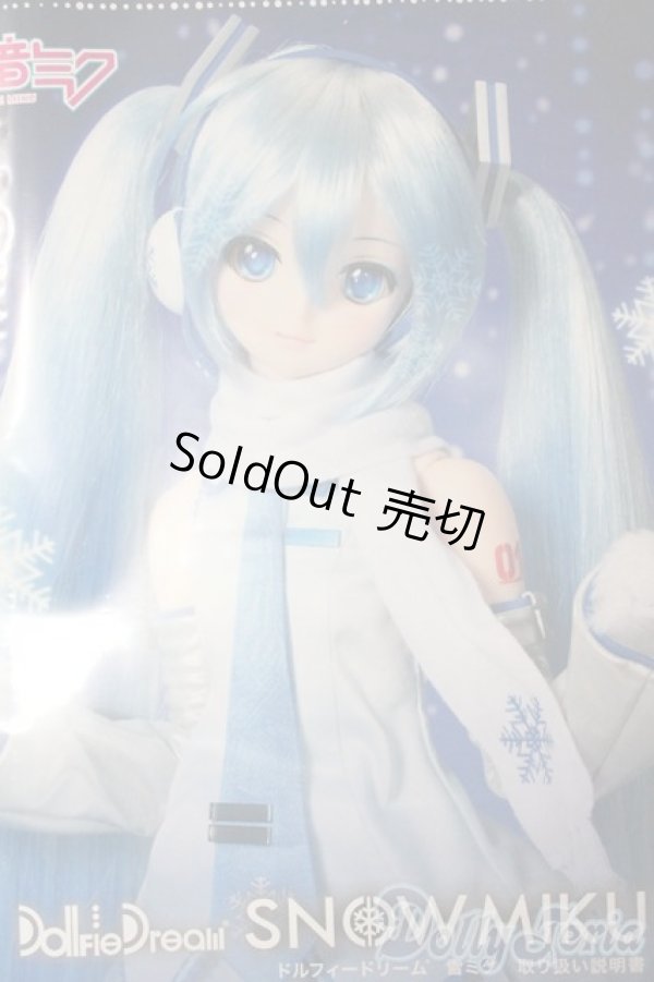 画像1: DD/雪ミク A-25-06-11-1039-TN-ZA (1)