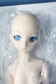 画像3: DD/雪ミク A-25-06-11-1039-TN-ZA (3)