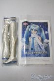 画像8: DD/雪ミク A-25-06-11-1039-TN-ZA (8)