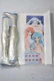 画像9: DD/雪ミク A-25-06-11-1039-TN-ZA (9)