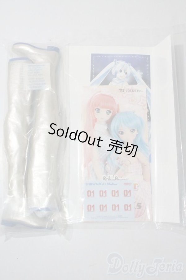 画像9: DD/雪ミク A-25-06-11-1039-TN-ZA (9)