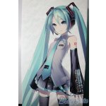 画像: DD/初音ミク A-25-06-11-1040-TN-ZU