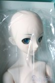 画像4: DD/初音ミク A-25-06-11-1040-TN-ZU (4)