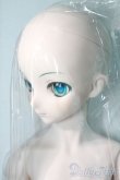画像5: DD/初音ミク A-25-06-11-1040-TN-ZU (5)