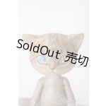 画像: I.O.S/Koo-Brown tabby A-25-06-11-1096-TN-ZU