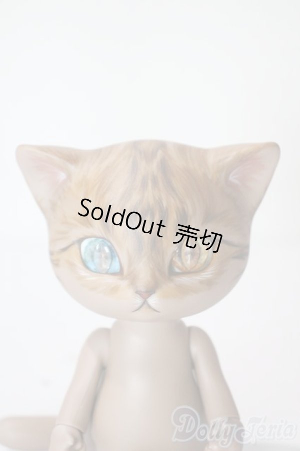 画像1: I.O.S/Koo-Brown tabby A-25-06-11-1096-TN-ZU (1)