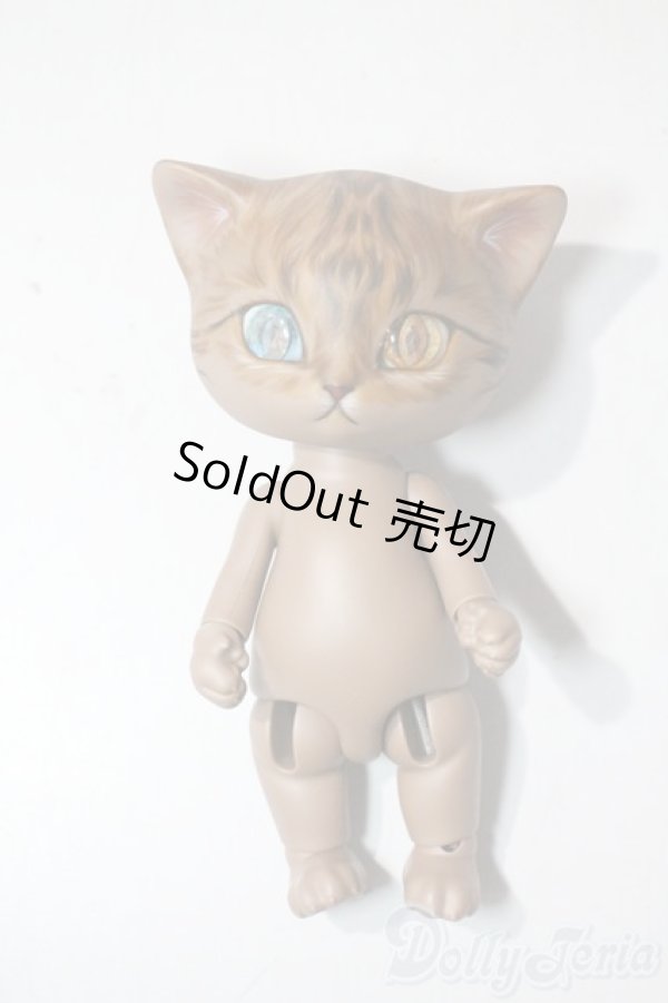 画像2: I.O.S/Koo-Brown tabby A-25-06-11-1096-TN-ZU (2)