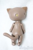 画像3: I.O.S/Koo-Brown tabby A-25-06-11-1096-TN-ZU (3)