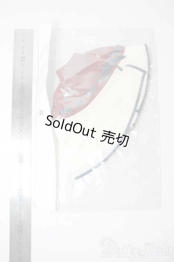 画像2: DD/委員ちょのケープ＆ブルマセット A-25-06-11-1073-TN-ZU (2)