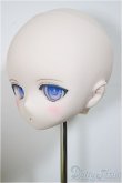 画像3: DD/DDＨ-01カスタムメイクヘッド/BJD　球体関節人形 A-25-06-18-339-KD-ZA (3)