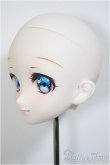 画像3: DD/DDH-06カスタムメイクヘッド/BJD　球体関節人形 A-25-06-18-335-KD-ZA (3)