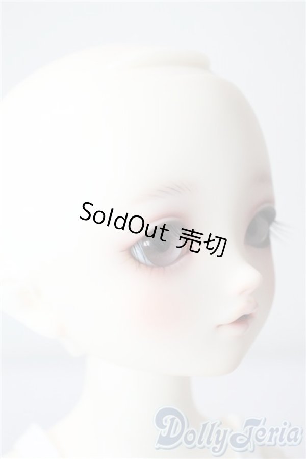 画像4: SDM女の子/ここ〜10周年記念Ver.〜 U-25-06-24-216-TN-ZU (4)