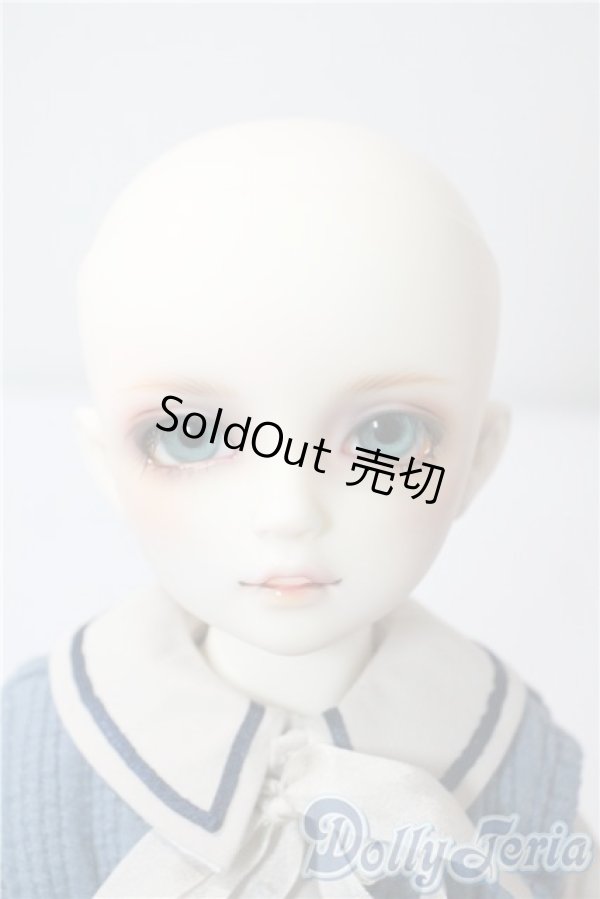 画像1: SDMB/F-61　コーディネートモデル U-25-06-24-215-TN-ZU (1)