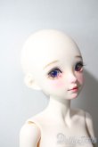 画像3: Asleep Eidolon/1/4 mini Azuki(相思豆) A-25-06-25-1098-TN-ZU (3)