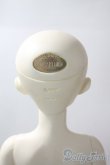 画像5: rosenlied/wedne'sday child　basic rose A-25-06-25-1097-TN-ZU (5)