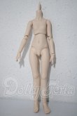 画像1: MDD/ベースボディ DD-f3(ボークス) A-26-09-24-1050-TN-ZU (1)