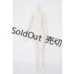 画像: MDD/ベースボディ DD-f3(ボークス) A-26-09-24-1050-TN-ZU