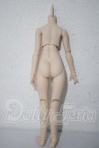 画像2: MDD/ベースボディ DD-f3(ボークス) A-26-09-24-1050-TN-ZU (2)