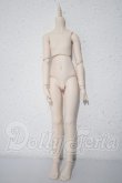 画像1: MDD/ベースボディ DD-f3(ボークス) A-26-09-24-1049-TN-ZU (1)