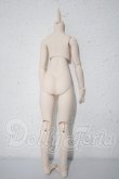 画像2: MDD/ベースボディ DD-f3(ボークス) A-26-09-24-1049-TN-ZU (2)