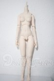 画像1: DDS/ベースボディ A-26-09-24-1046-TN-ZU (1)