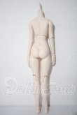 画像2: DDS/ベースボディ A-26-09-24-1046-TN-ZU (2)